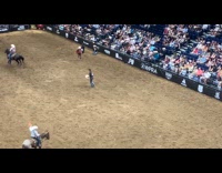 Steer wrestler almost got trampled by horse 