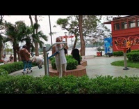 Dog ride on outdoor park exercise machine