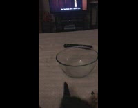 Brown black kitten sits in glass bowl