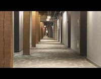 Pet dog runs on the apartment hallway