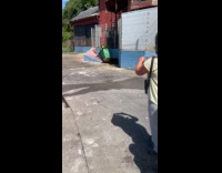 Man push sea lion use rubbish bin