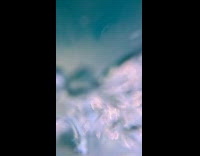 Woman on jet ski shows jellyfish underwater