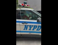 Man Laughs at Santa Claus Policeman in Car