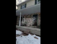 Woman helps woodpecker that hit her window