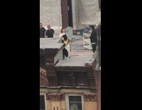 Penguin costume rooftop photoshoot neon green shirt 