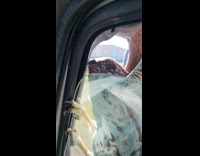 Hawk holds at side mirror of truck