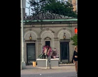 Guy wears feather headdress lady feeds pigeons 