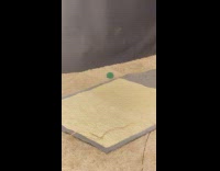 Cat plays ball hides under the sofa