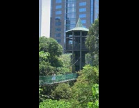 Gazebo wood bridge photoshoot white dress forrest 