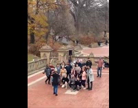 Flash mob in the courtyard of the park
