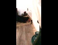 Dog bites ball hits wall slow motion