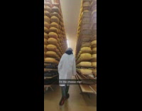 Man walk in the middle of cheese shelves