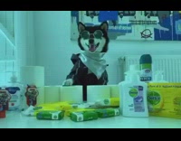 Black white shiba dog toilet paper DJ 