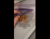 Checking up on the month old pasta in the fridge purple container
