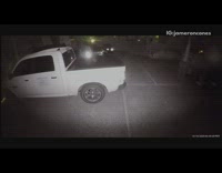 Raccoons chase cat across parking lot 