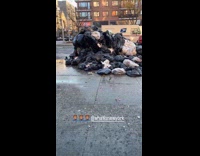 Pile of trash display on the sidewalk 