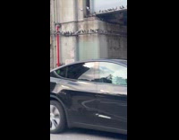 Woman surrounded by large flock of pigeons