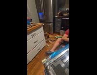 Dog near man that sets up dishwasher