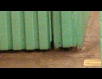 2 rats crawl into subway wall 