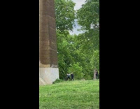 3 Guys Throw Lassos Toward Each Other 