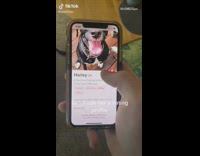 Lonely dog makes dating profile gets catfished  