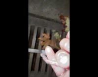 GIrl finds key because she has a tile on chain