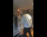 Bird sings dances with guy to song