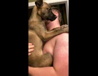 Small puppy compilation biting suckling arm 