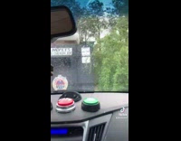 Dog in car barks at windshield wipers 