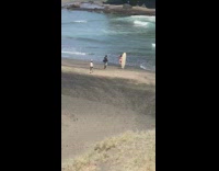 Woman in red bikini poses with a surfboard