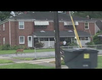 Wild deer jumps over a fence
