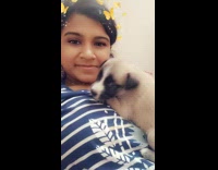 Brown puppy dog lays on chest 