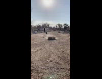 Girl on white horse lugging hay