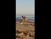 Man photo shoot big stone with pet dog beach