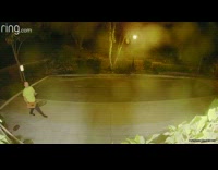 Lost food delivery driver is still lost