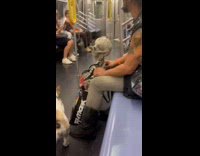 Collab Subway Creatures - Man with fake skeleton on reusable bag pets dog