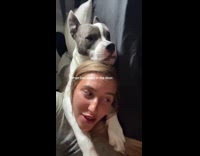 Sleeping dog gets up dad home