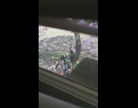 Two women bicycle with dog puppy photo shoot