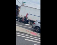 Collab WINY - Man ride bike with dog in front