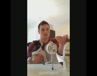 Collab FunBestVids - Guy makes an ASMR video with his dog and rubs Aveeno lotion onto its head