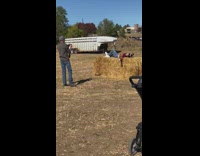 Woman in brown crop top sweater lie down on haystack