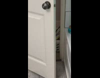 Collab BitchMP - Black cat opens door and looks through blue backpack