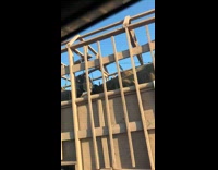 Truck pulling trailer with velociraptors in the back dinosaur