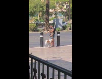 Man two dogs selfie sidewalk Arc Bar