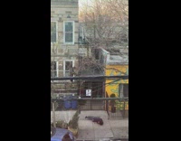 Guy skates and jumps from a 2 storey building