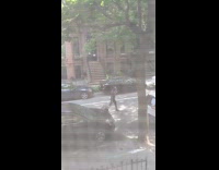 Guy talks into microphone donald trump neighborhood 