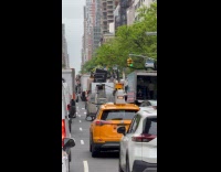 Van carry lots of stuff on roof