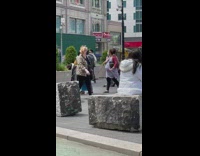 Guy Takes Pet Ferrets on a Walk 