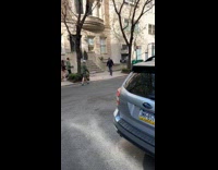 Robot dog on sidewalk with pink hat