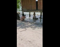 Girl poses for photo under beach bungalow 